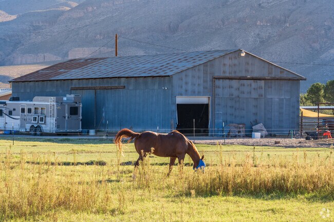 Horses and barns are a very common sight throughout Radium Springs.