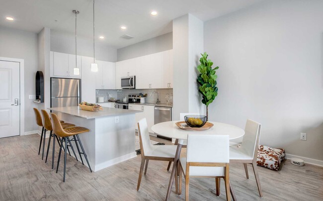 Scheme 1 Kitchen and Living Area