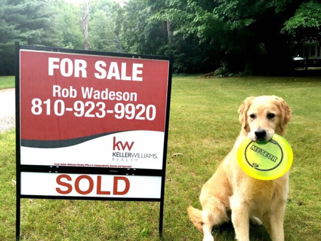 Agent Photo