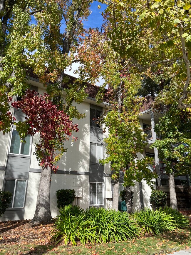 4081 Clayton Rd, Concord, CA 94521 - photo 5