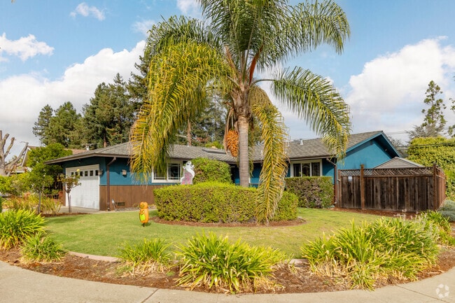 Beautiful palm tree-studded in Sunnyvale residential streets.