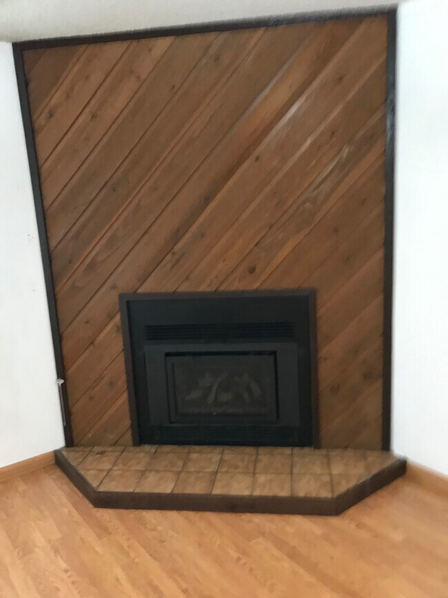 Gas fireplace in LR