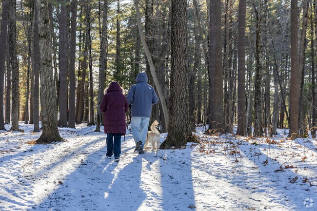 Explore the hiking trails of Musquash Conservation Area in Londonderry for nature and tranquility.