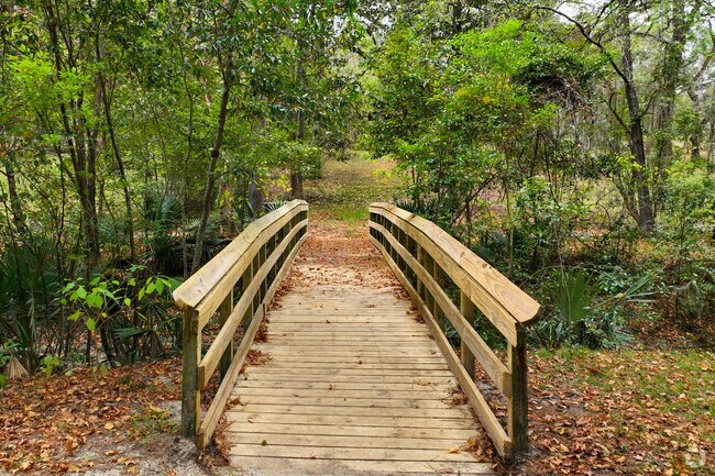 Walk the abundant trails at Lafayette Park in Tallahassee, Florida.