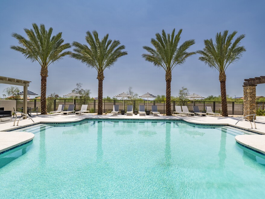 Dive into relaxation at Aster Ridge’s resort-style pool, where comfort meets luxury under the Phoenix sun.