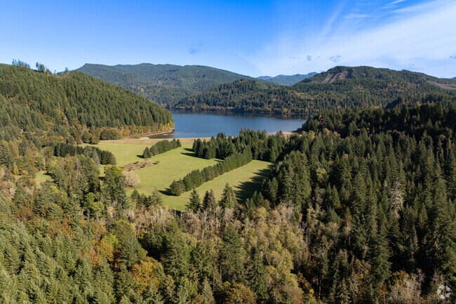 Saddle Dam Park near Yale Lake and Lake Merwin allows a range of activities.