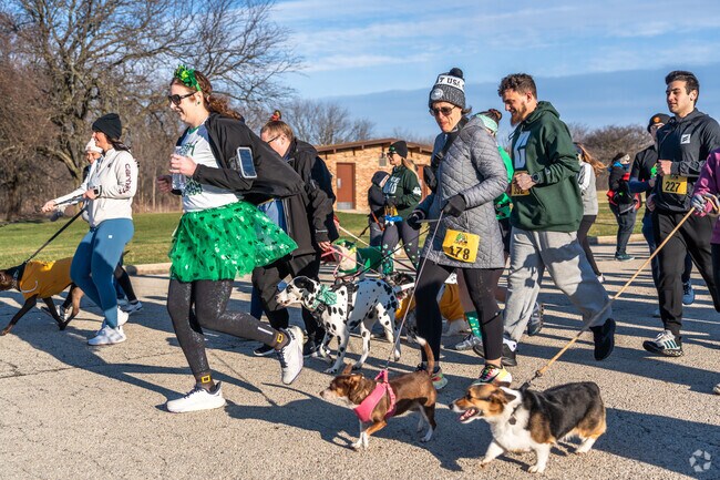 Owners have a great time running with their dogs during the Lucky Dog 5K.