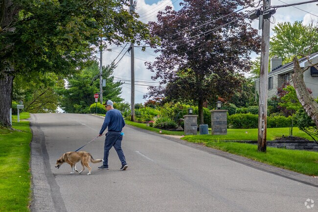 The Thornburg streets are wide enough to safely walk the pup.