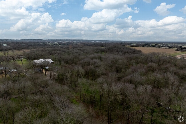 Bastrop is known for its pockets of pine trees.