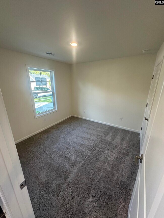 102 Prairie Grass Way, Columbia, SC 29210 - photo 6