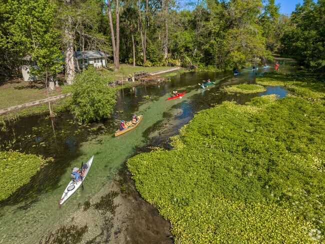 Rock Springs and Kelly Park are one of the most beautiful and natural attractions of the area