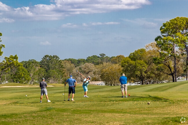 Large shady oak trees and rolling fairways is a great way to spend the day in Brookridge.