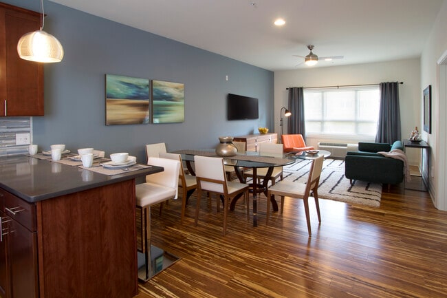 Premier Properties of New Brunswick, New Brunswick, NJ 08901 - photo 7