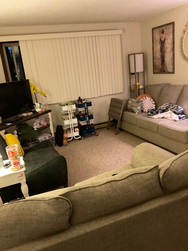 1007 SE 13th St unit Susan, Brainerd, MN 56401 - photo 3