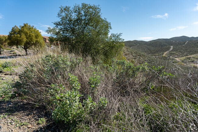 Wildfire precautions in Lake Elsinore Hills include defensible space and emergency readiness plans.