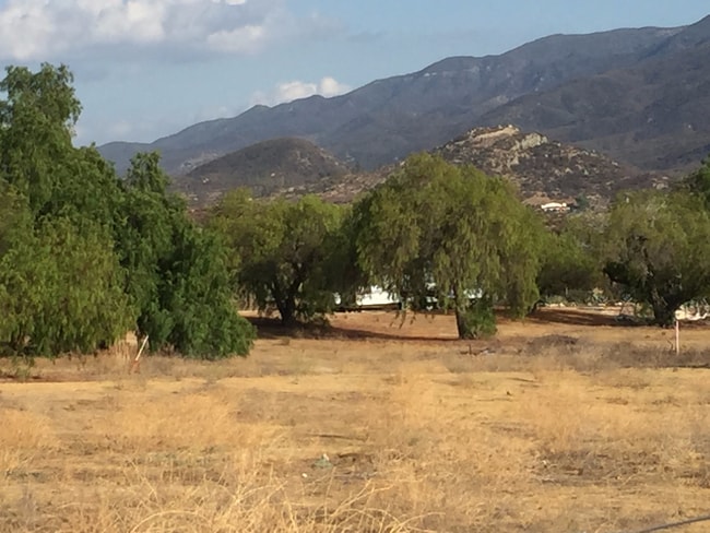 39455 Ca-79, Warner Springs, CA 92086 - photo 4