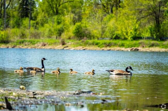 Flint Park Lake is a great place to view new life in the spring.