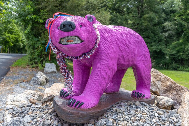 Newtown is a quiet community in a mountain setting.