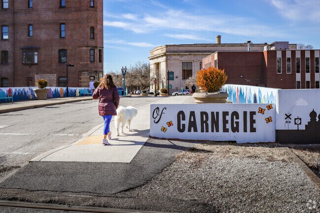 A woman walks her dog across the bridge in Carnegie.