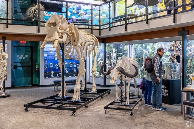 Homeschool families in Moore visit the Museum of Osteology.