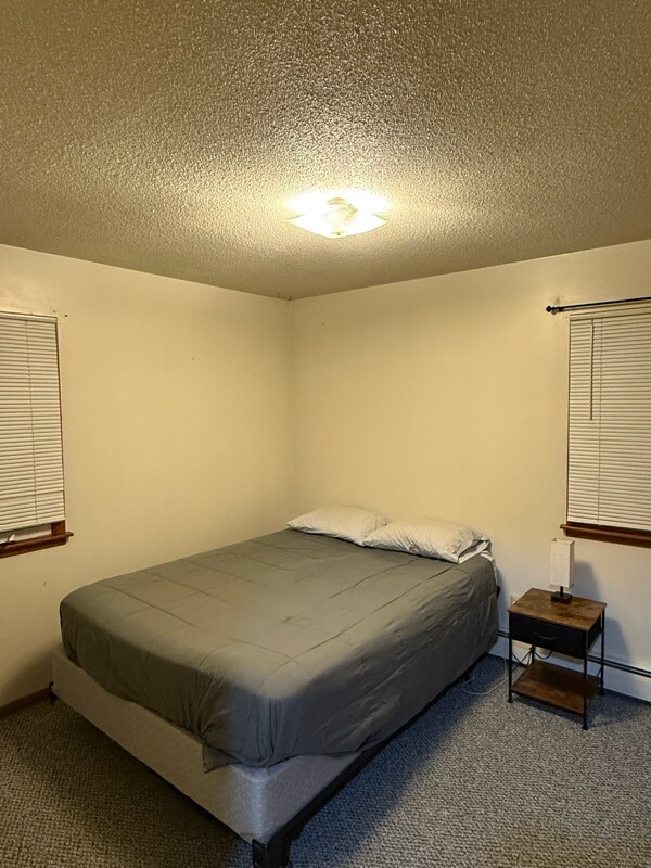 7 11th Ave NW unit 4, Rochester, MN 55901 - photo 2