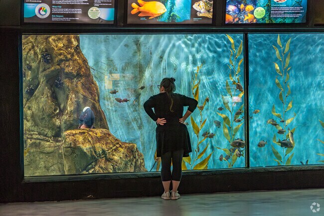 Cannon Park residents can see some amazing animals at the Milwaukee County Zoo.