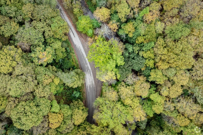 Residents enjoy a peaceful country road in Kiskiminetas.