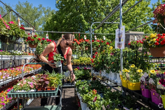 Frattallone's Hardware & Garden has an impressive outdoor garden section near Fair.