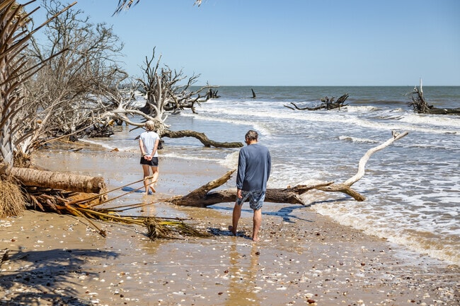 Strolls On Boneyard Beach at Botany Bay on Edisto Island