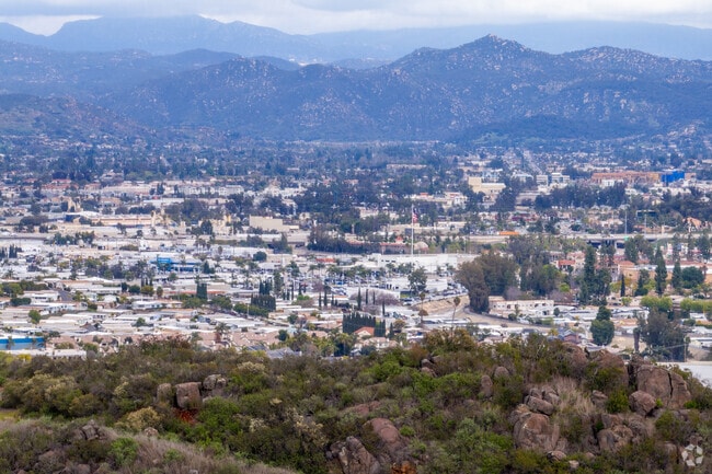 An elevated view of Vineyard with mountains in the background.
