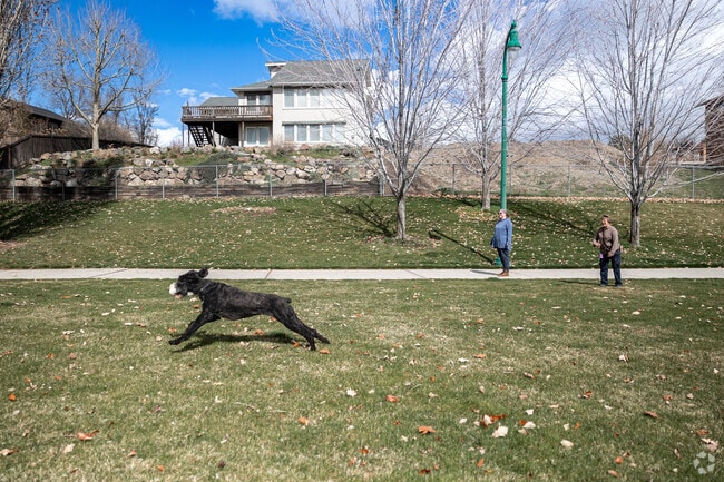 Friends play fetch with their dog at Nielsen’s Grove Park in Lakeview.