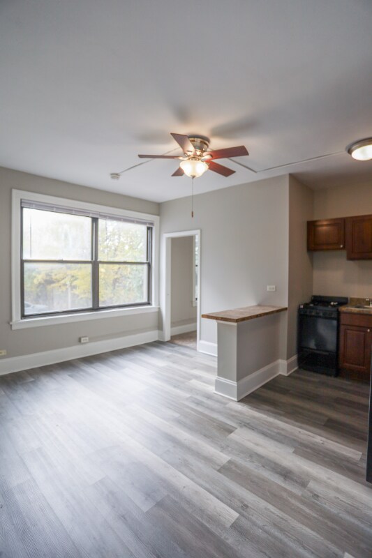 5326 S Cornell Ave Unit 1, Chicago, IL 60615