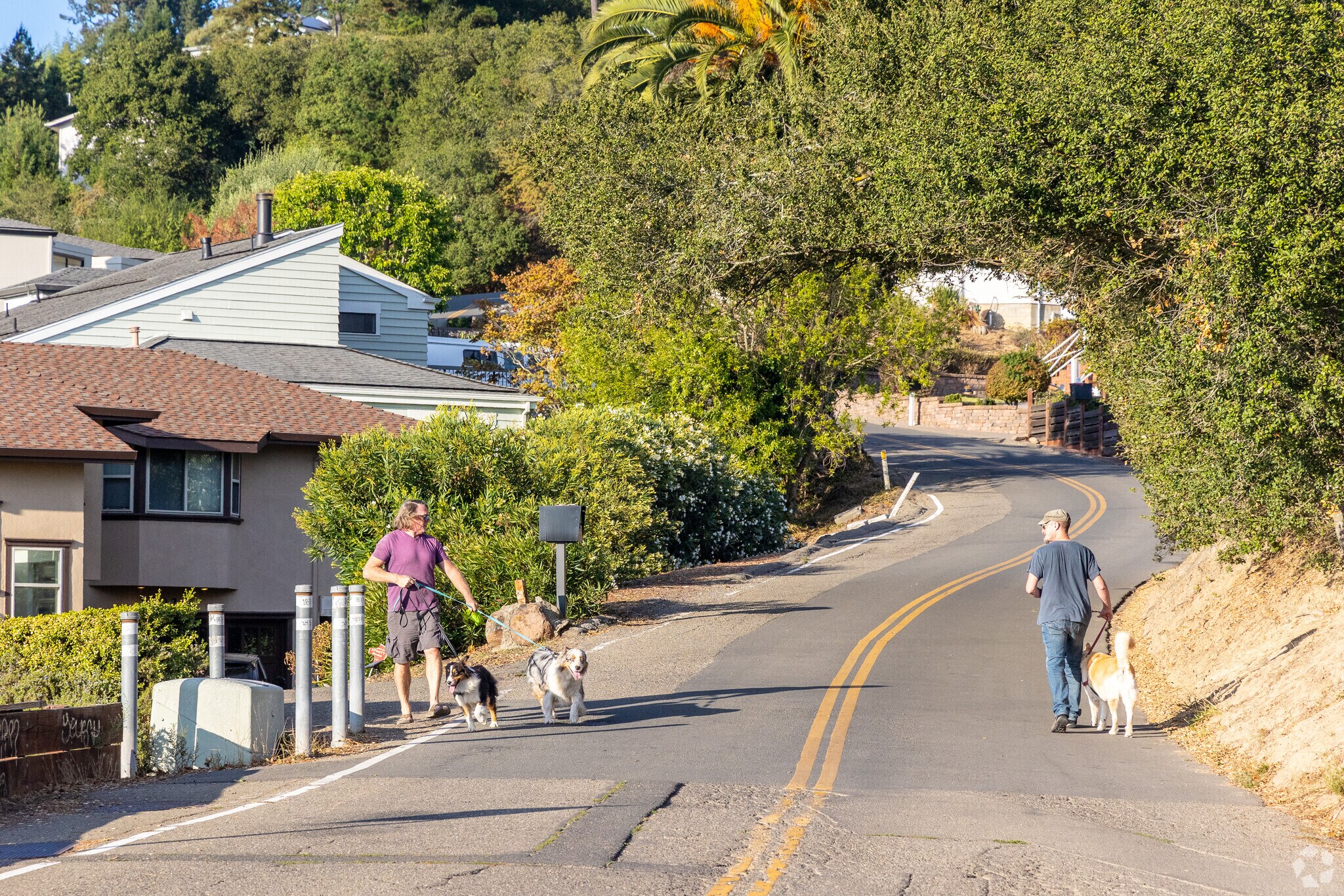 Friendly locals are walking their dogs in the hilly Merriewood neighborhood.