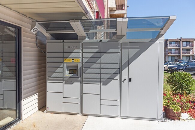 Secure Luxer Package System