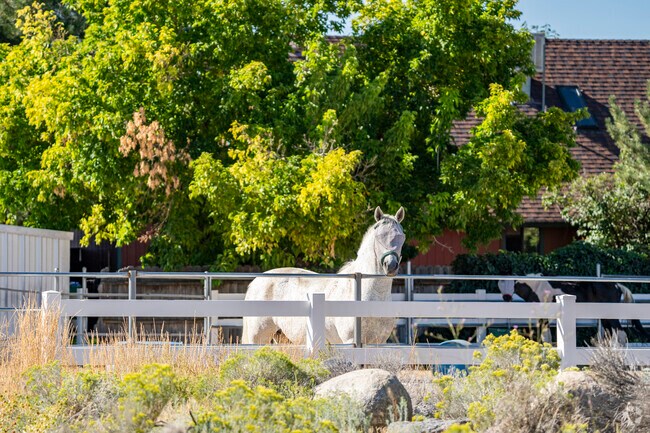 Golden Valley has a lot of ranch style properties, perfect for those who wish to have horses.