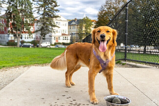 Vernon Hill Dog Park is double‑gated with areas for small and large dogs.