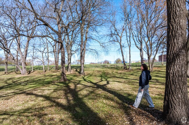 While there are not paths at Palmer Park, you can just wander through the trees.