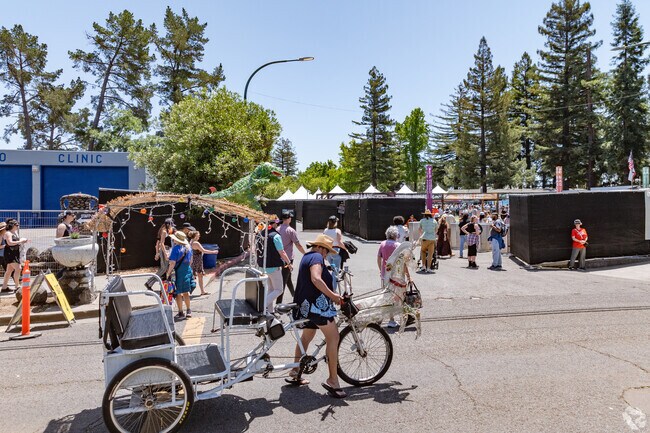 Bottlerock attendees prepare for entry and tons of live music.
