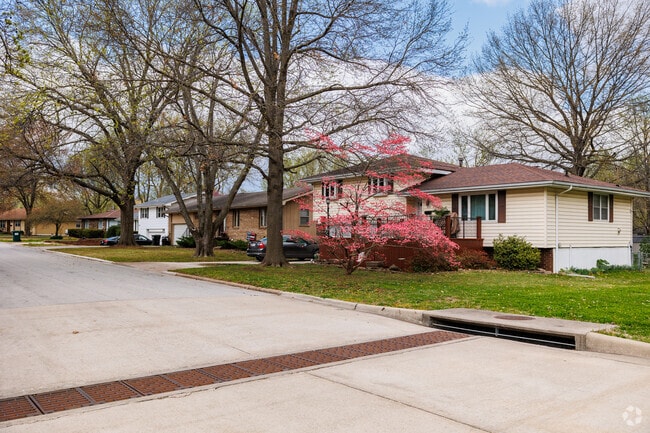 Homes in Meador Park sparkle in spring with color.