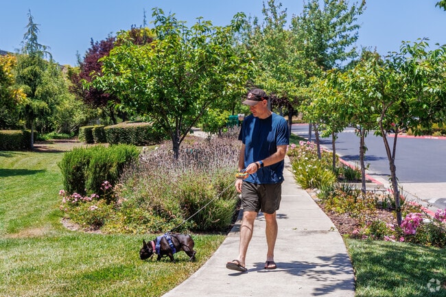 The well-maintained sidewalks in Eden Shores provide a safe path for dog owners.