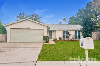 2821 Honey Bear Ct, Palm Harbor, FL 34684