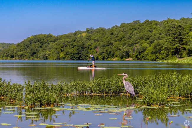 Take your paddle board to Wyandotte County Lake Park for some wildlife.
