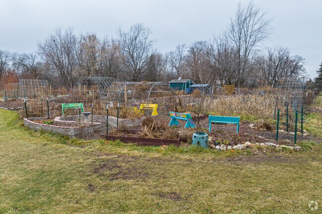 Prairie School of Dupage's garden.