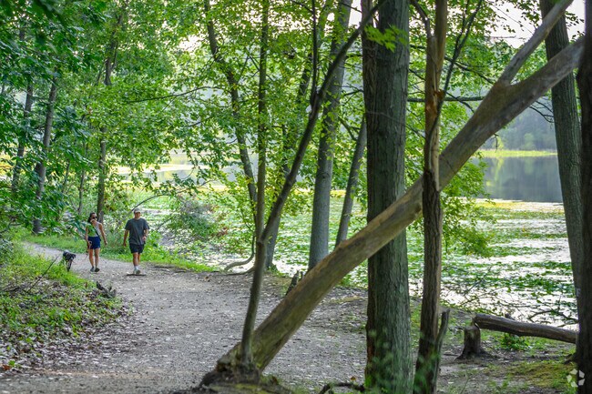 Asylum Lake is a beautiful setting, Hill N Brook, to walk with a loved one.