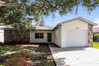 11337 Blackbark Dr, Riverview, FL 33579