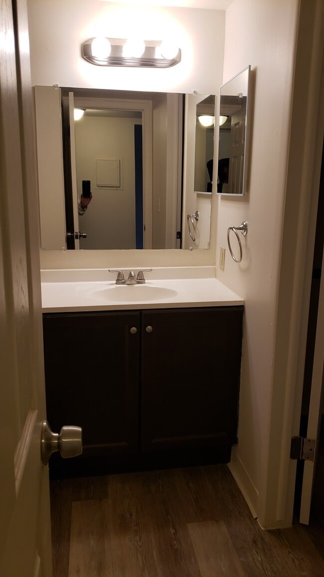 Pines Lapeer West Apartments, Lapeer, MI 48446 - photo 6