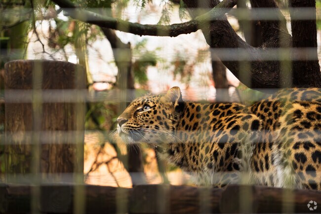 At the heart of Attleboro, the Capron Park Zoo is home to about 100 animals.