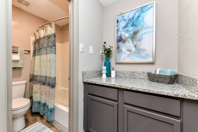 Bathroom + Granite Counters