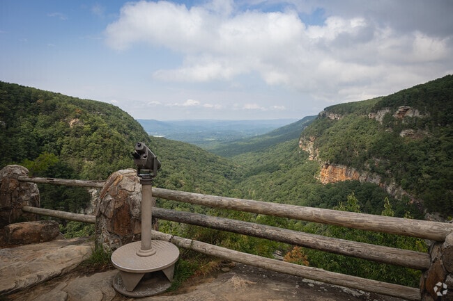Hike to the overlook at Cloudland Canyon State Park.