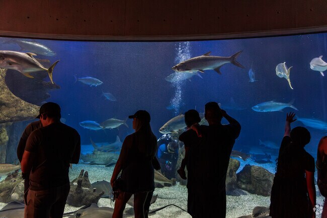 The Albuquerque Aquarium offers family fun for residents in Matheson Park.